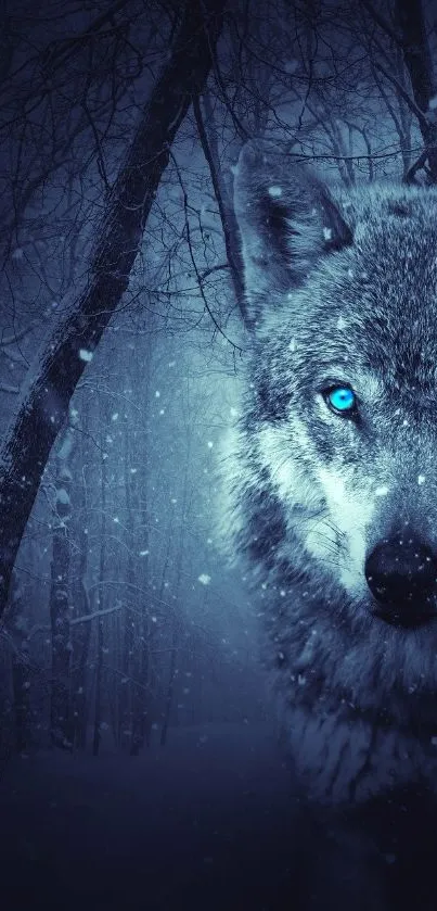 Captivating wallpaper of a blue-eyed wolf in a snowy forest scene.