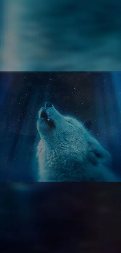 Blue wolf howling at starry night sky.