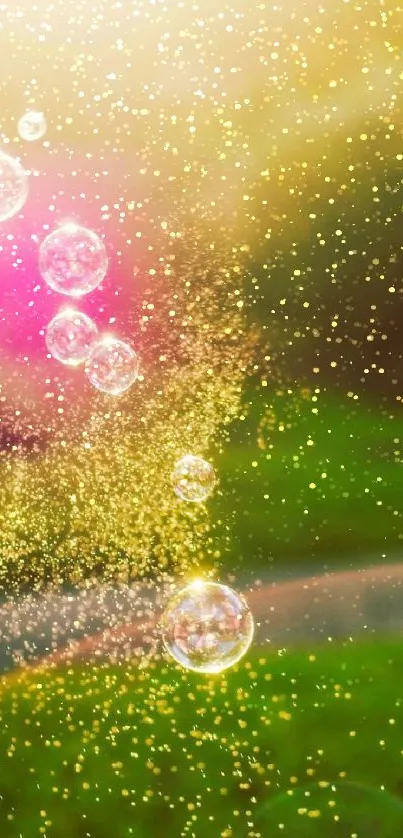 Ethereal bubbles and sunlight over green grass mobile wallpaper.