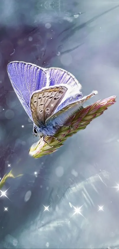 Ethereal purple butterfly on flower wallpaper.