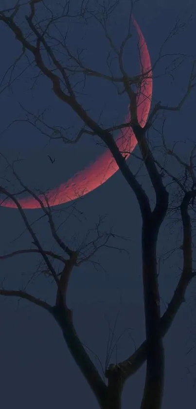 Dark silhouette of tree and red crescent moon in night sky wallpaper.