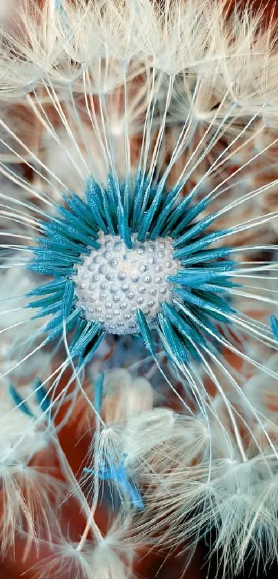 Close-up of a dandelion with cyan blue and white hues on a mobile wallpaper.