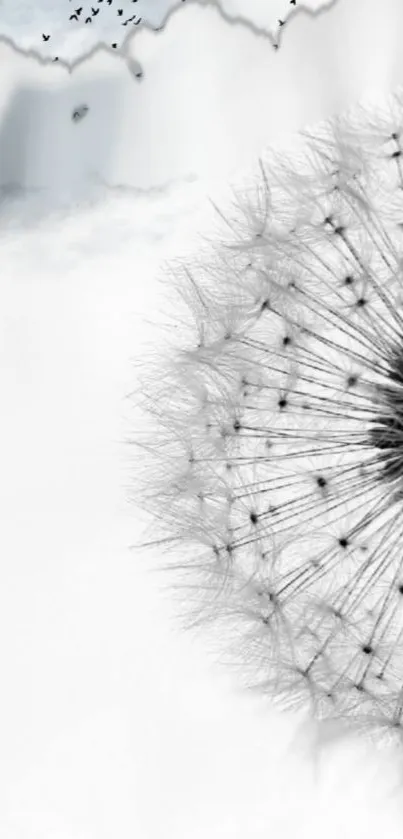 Ethereal dandelion with misty gray background for mobile wallpaper.