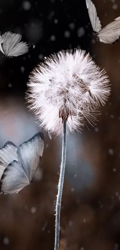 Mobile wallpaper with dandelion and butterflies on a blurred, earthy-toned background.