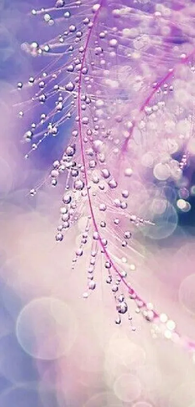 Ethereal mobile wallpaper with dewdrops in soft purple hues.