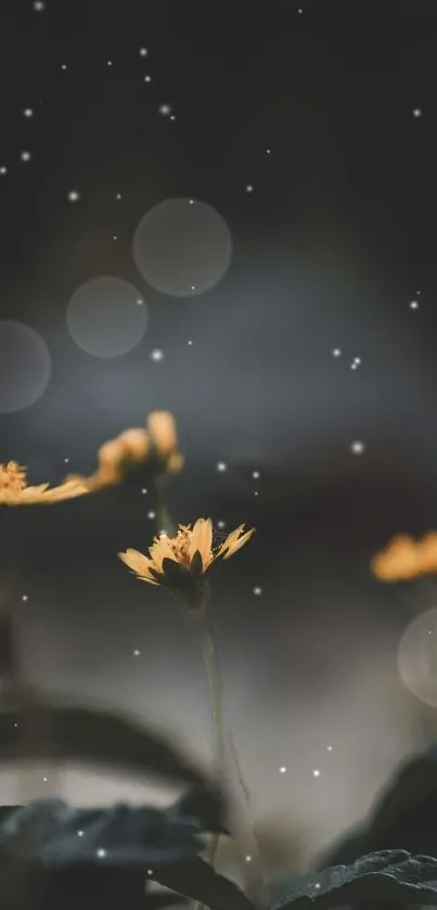 Ethereal night scene with yellow flowers and bokeh glow.