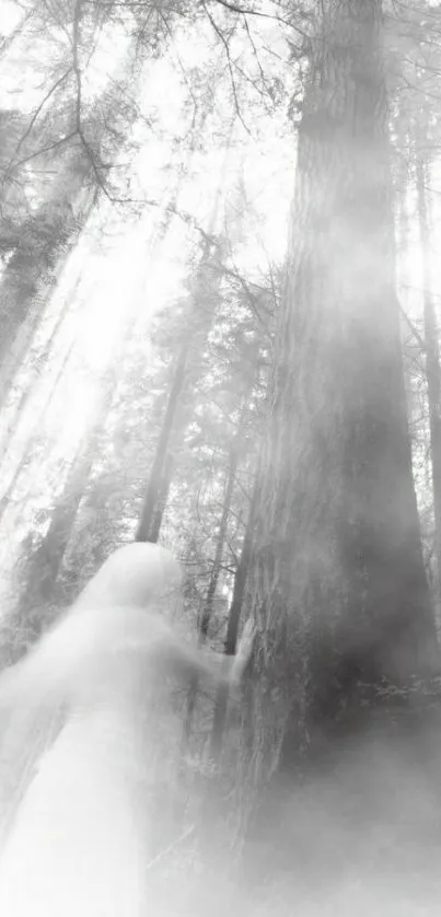 Ethereal misty forest with ghostly figure.