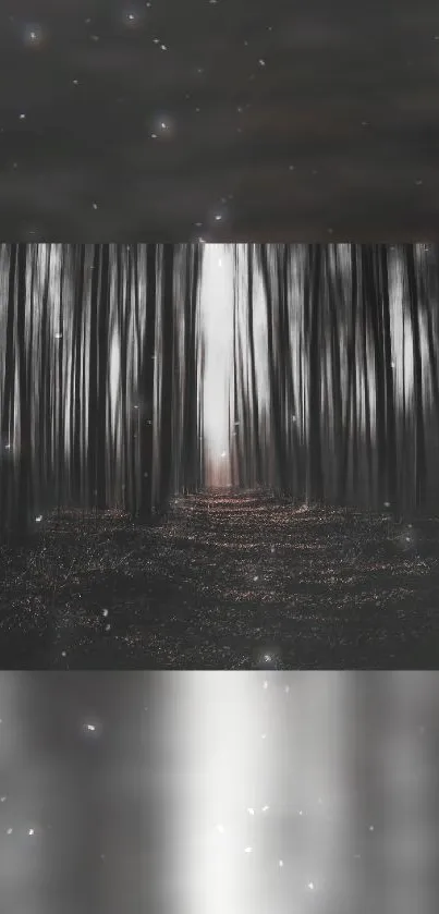 Dark mystical forest wallpaper with light beams.