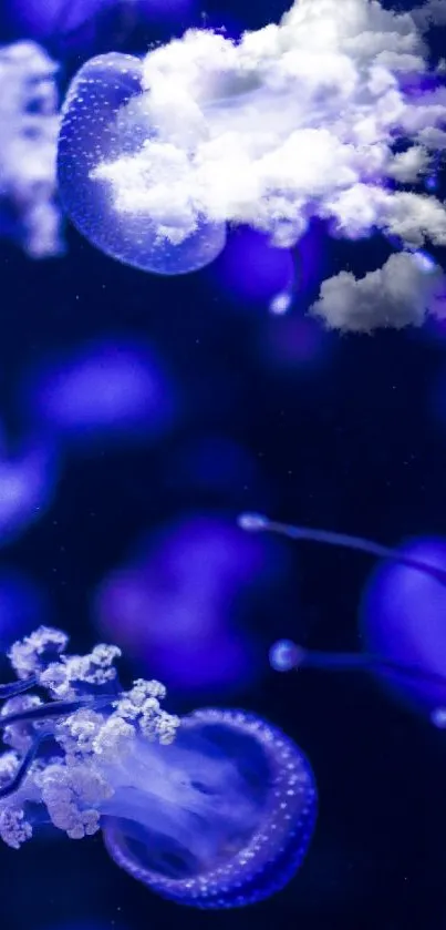 Ethereal mobile wallpaper with jellyfish floating among clouds.