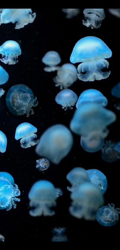 Ethereal scene of glowing jellyfish against a dark blue background.