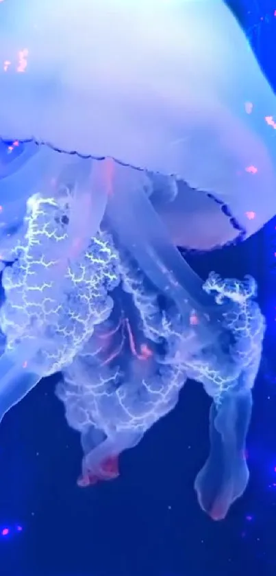 Glowing jellyfish in vibrant blue hues against a dark oceanic background.