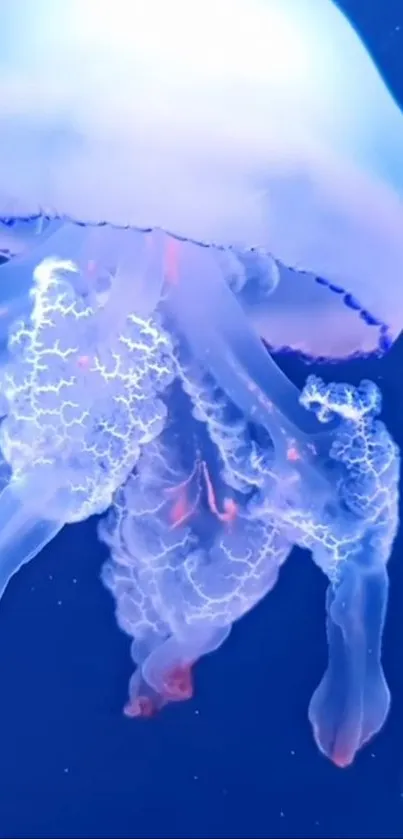 Ethereal jellyfish with glowing tentacles in deep blue ocean view.