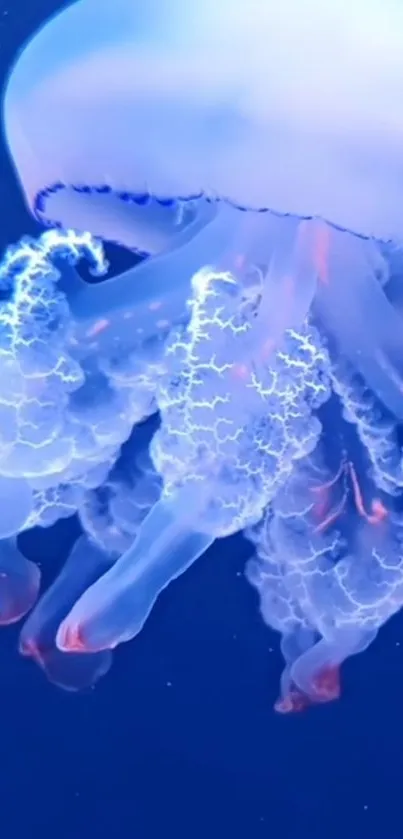 Ethereal glowing jellyfish in deep blue ocean scene.