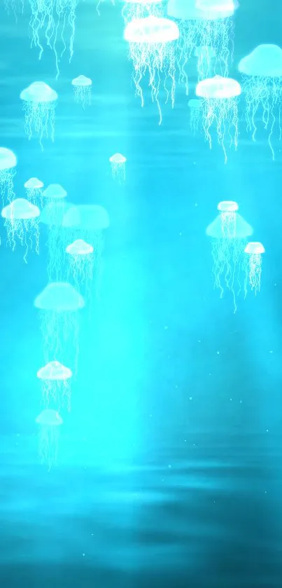 Ethereal jellyfish floating in tranquil aqua ocean wallpaper.