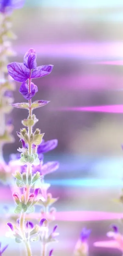 Ethereal lavender blooms with pastel gradients in background.