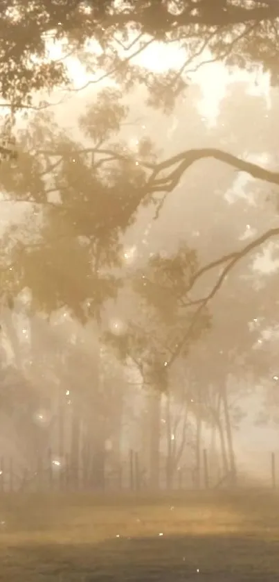 Ethereal golden light filters through a misty forest scene.