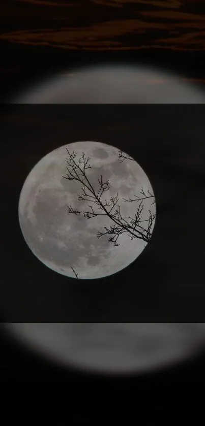 Full moon with branches on a dark night sky wallpaper.