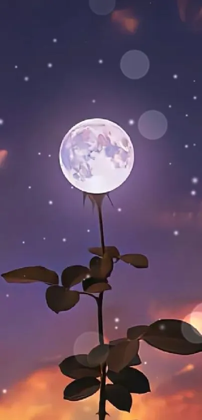 Serene mobile wallpaper with moonlit sky and mystical atmosphere.