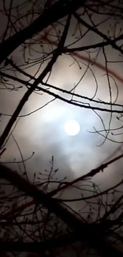 Ethereal night sky with moon and branches.