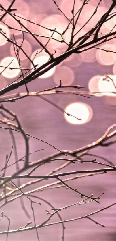 Pink bokeh mobile wallpaper with tree branches.