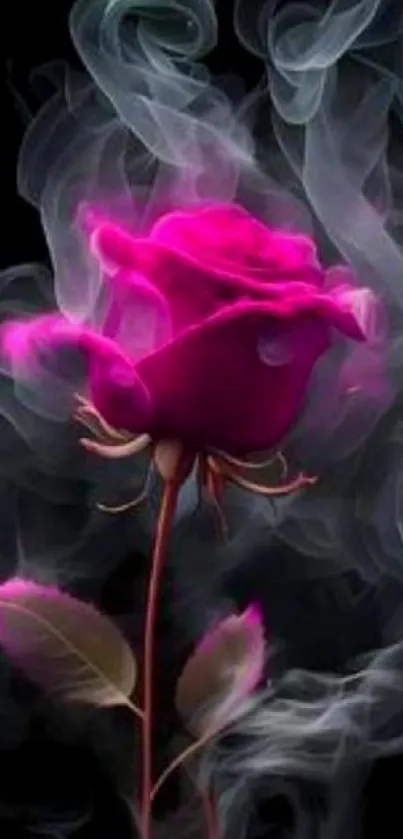 Ethereal pink rose with smoke swirling on a dark background.