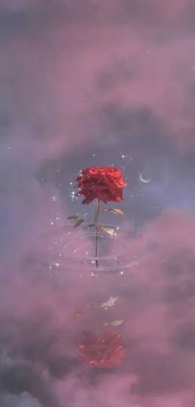 Single red rose amidst purple clouds in mystical mobile wallpaper.