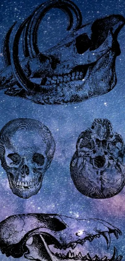 Intricate skull illustrations on a starry night background for mobile wallpaper.