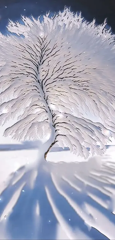 Ethereal snowy tree casting shadows on a winter landscape.