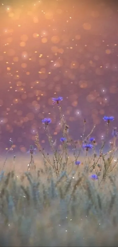 Ethereal field with bokeh at sunset, lavender tones.