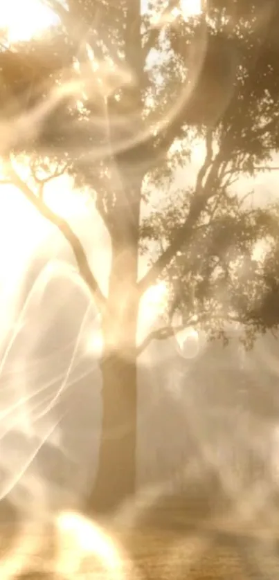 Ethereal tree silhouette in soft golden sunlight creating a serene mobile background.