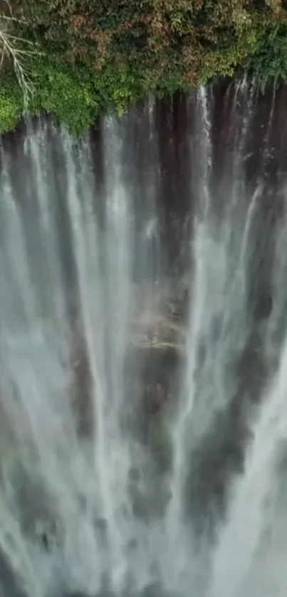 Aerial view of a majestic waterfall amidst lush green forest.