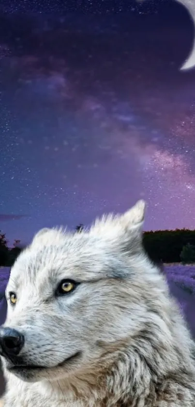 White wolf under starry night sky, showcasing cosmic beauty and nature's mystique.