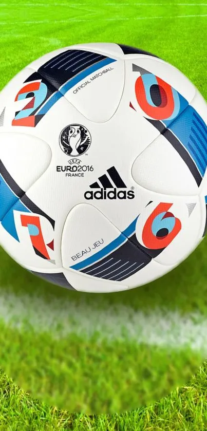 Euro 2016 official football on grass field.