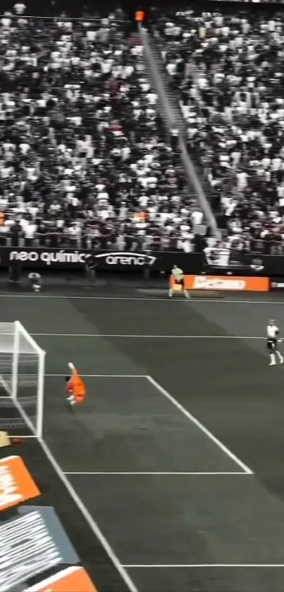 Football match in a crowded stadium with goalkeeper.