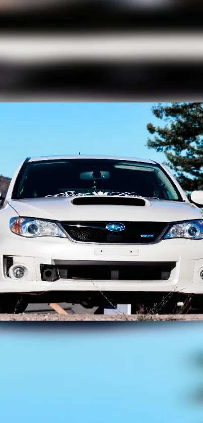 White Subaru WRX parked under a blue sky with trees in the background.