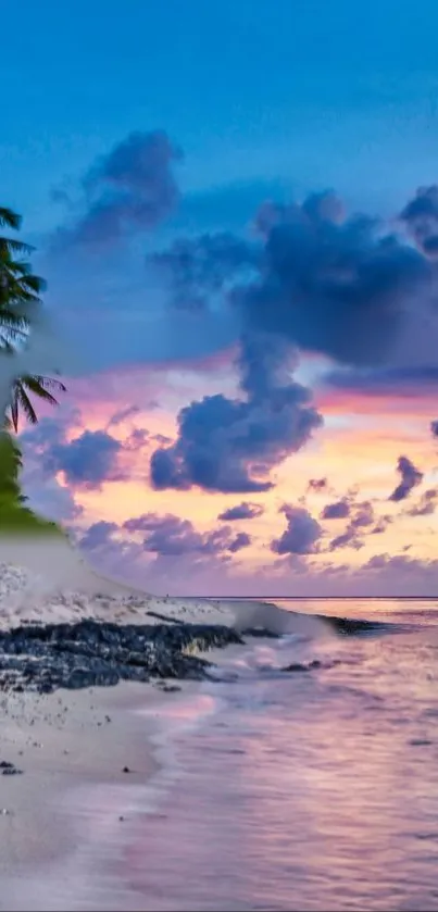 Tropical beach scene with sunset sky and palm trees silhouetted.