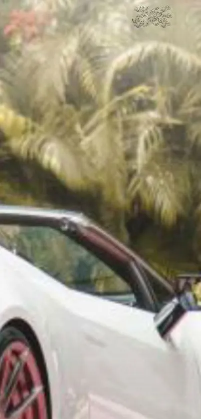 White luxury car against tropical palm trees.