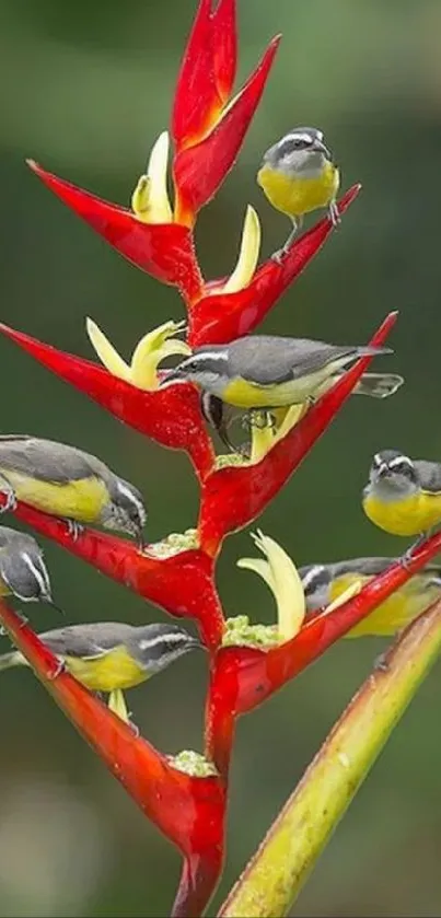 Exotic flowers with birds on vibrant background mobile wallpaper.