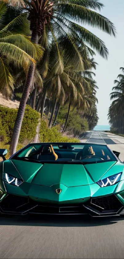Green sports car driving down a palm-lined road.
