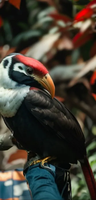A vibrant toucan perched with lush greenery in the background.