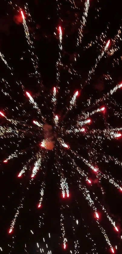 Vibrant fireworks bursting in night sky display.