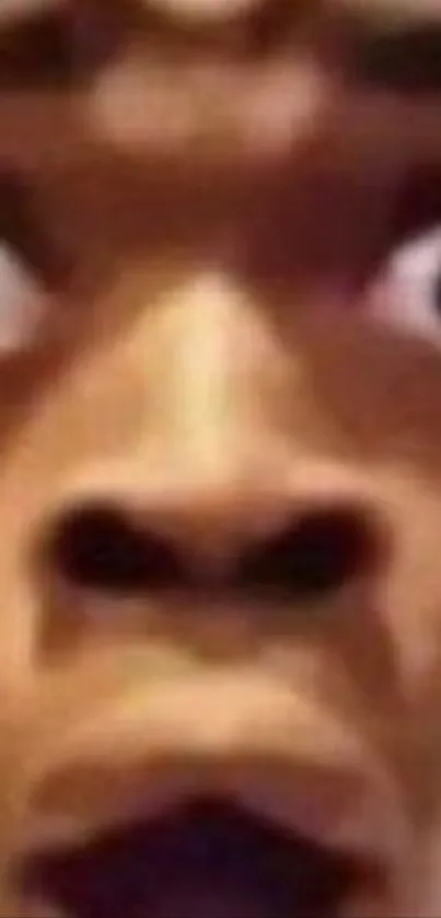 Close-up of a surprised face meme image with bold expression.