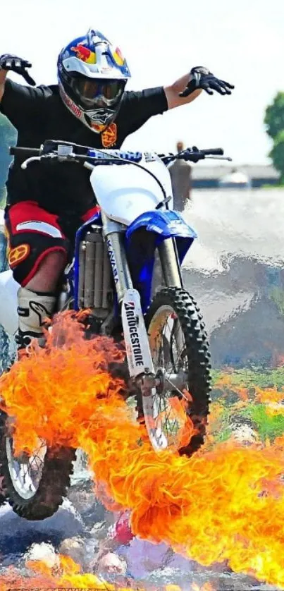 Motorcyclist jumps through flames in daring stunt wallpaper.