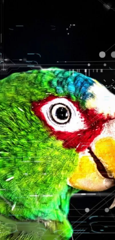 Eye Beak Parrot Live Wallpaper