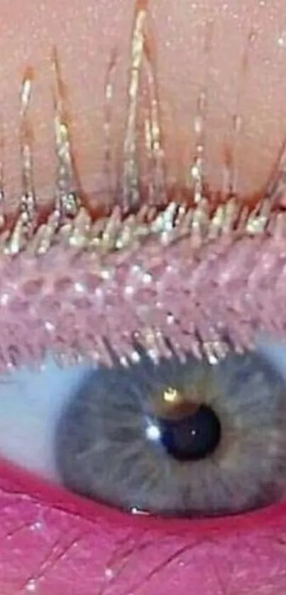 Close-up of an eye with pink accents and gold lashes.