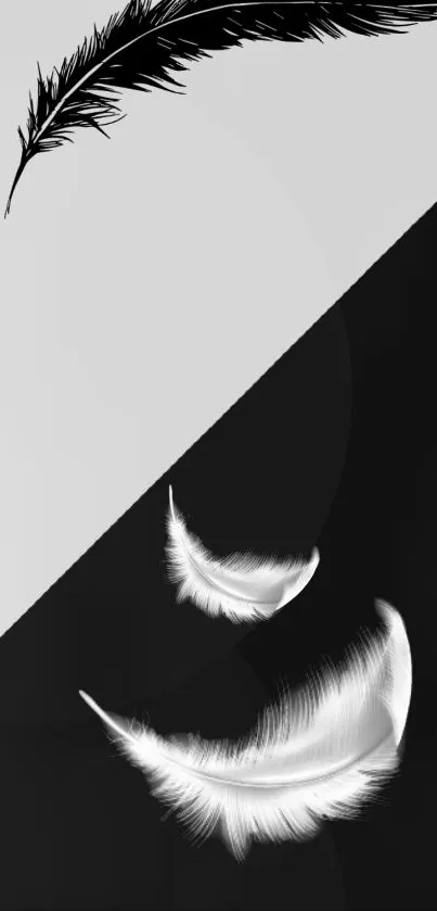 Eyebrow Eye Eyelash Live Wallpaper