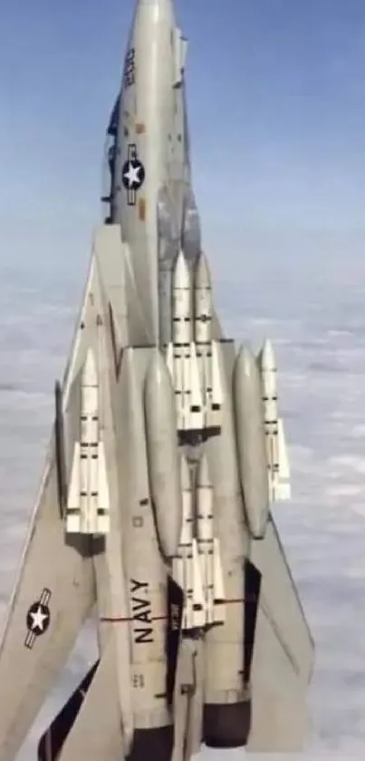 F-14 jet ascending vertically into cloudy sky.