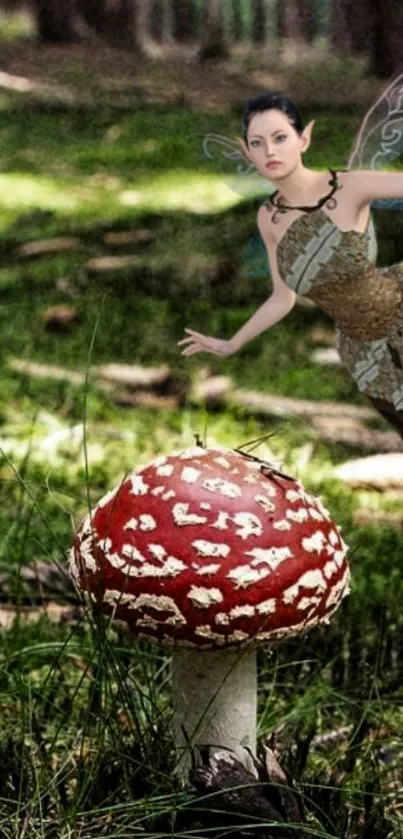 Fantasy wallpaper with fairy and red mushroom in a forest.