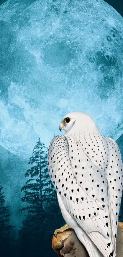 Falcon perched in front of a full moon with a forest backdrop.