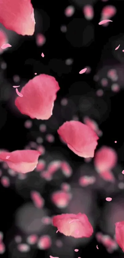 Mobile wallpaper with falling pink rose petals on a dark, blurred background.